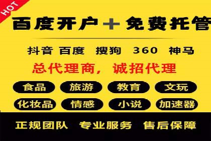 百度推广中SEO优化的成功案例分析